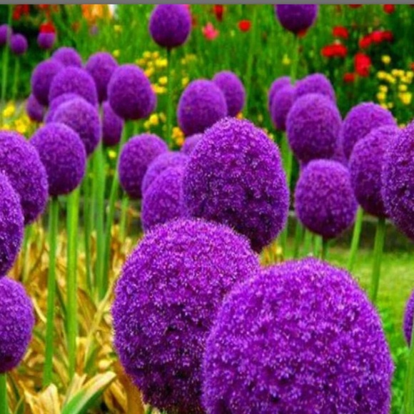 RESERVED 30 Troy Oz 999+Fine Serial #s in Consecutive Order - Picture 12 of 13